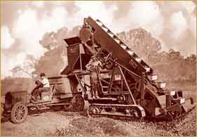 1654625911025 Cex0408iron1