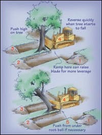 cex0511_herog cex0511_herog