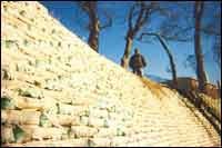 CEX0305RICH1 CEX0305RICH1