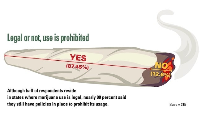 1654666973378 Marijuana Legal But Prohibited