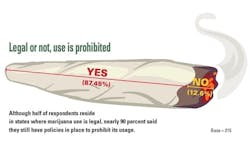 1654666973378 Marijuana Legal But Prohibited 1654666973378 Marijuana Legal But Prohibited
