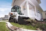 cex0905BFG_Bobcat cex0905BFG_Bobcat