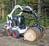 cex1003_BFA_Northshore cex1003_BFA_Northshore