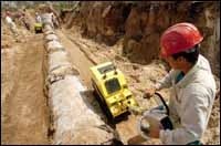 cex0506report01 cex0506report01