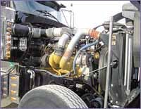 cex0501hot2 cex0501hot2