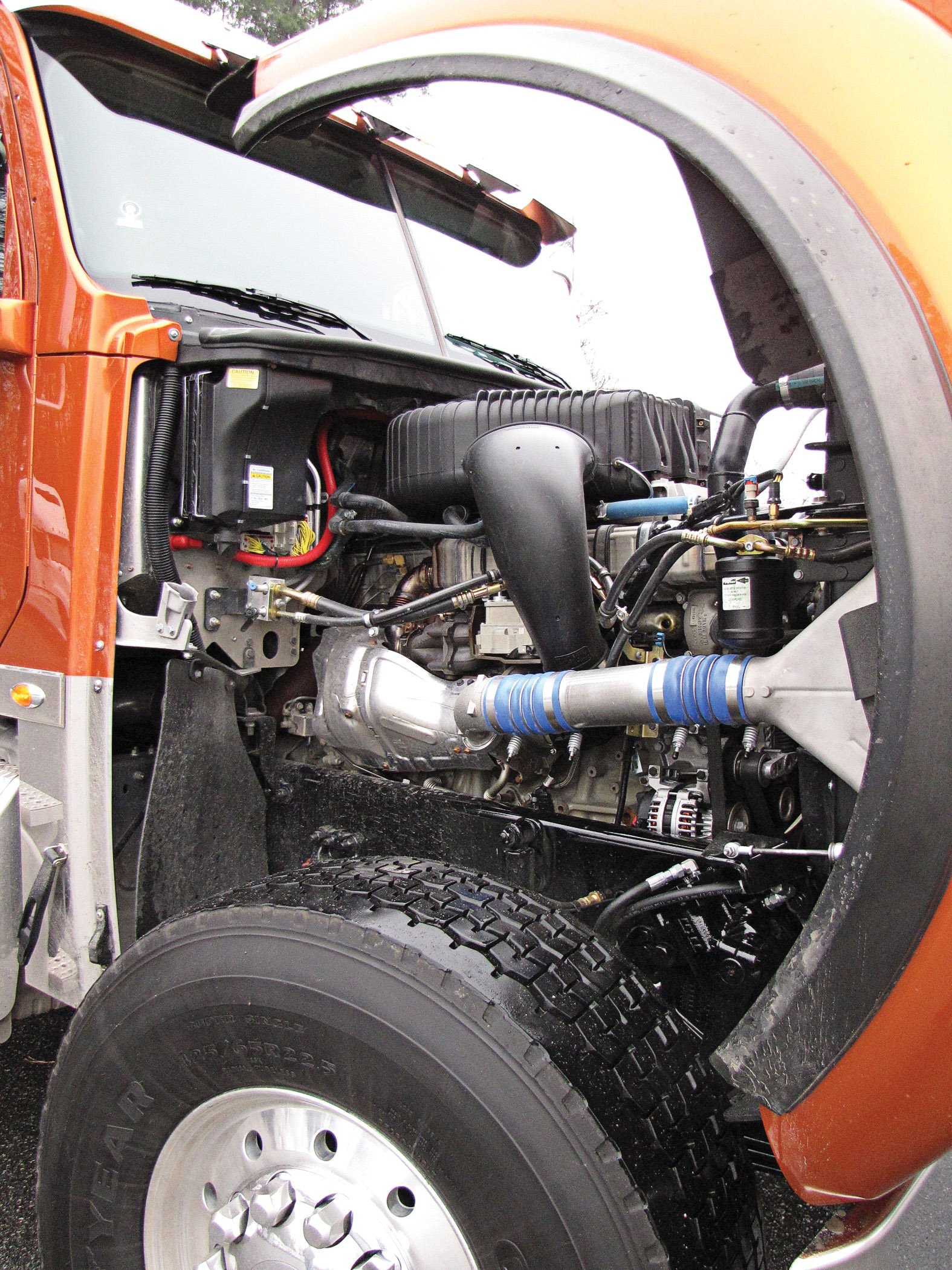 1654722804213 Coronado