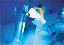 1654735192228 Cex0411p003