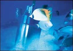 1654735192228 Cex0411p003 1654735192228 Cex0411p003