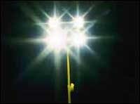 CEX0404P06 CEX0404P06