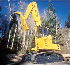 1654735397009 Cex0403m09