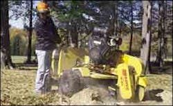 cex0401p19 cex0401p19