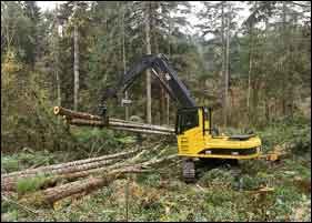 1654735829953 Cex0305m03