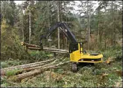 1654735829953 Cex0305m03 1654735829953 Cex0305m03