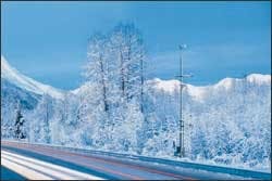 CEX0301P03 CEX0301P03