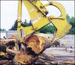 1654736070593 Cex0411p11