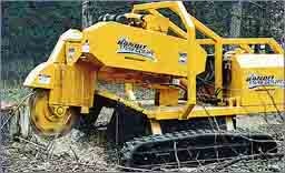 1654736218653 Cex0502p01