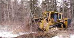 cex0505ewatch04 cex0505ewatch04