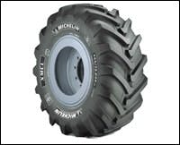 cex0701ewatch19 cex0701ewatch19