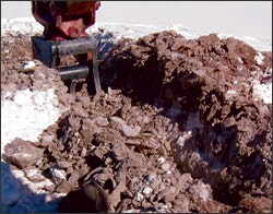 1654736563895 Cex0308p20