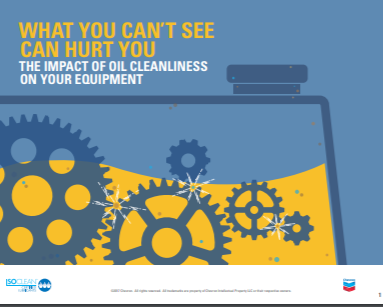 1654753713658 Capture