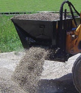 cex0903_MA_PaladinBucket