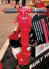 cex1004_LS_ChiPneuWoC cex1004_LS_ChiPneuWoC