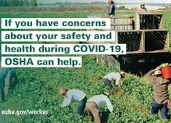 1654813619429 Oshawalletcard 1654813619429 Oshawalletcard