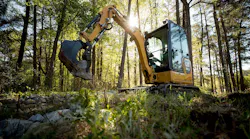 Cat-Excavator-Shopping