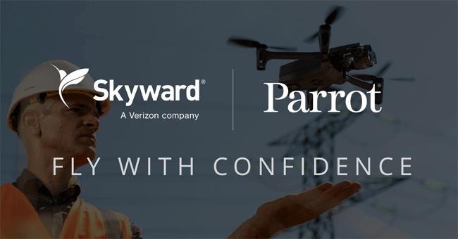 1654813840147 Skywardparrotanafiusa