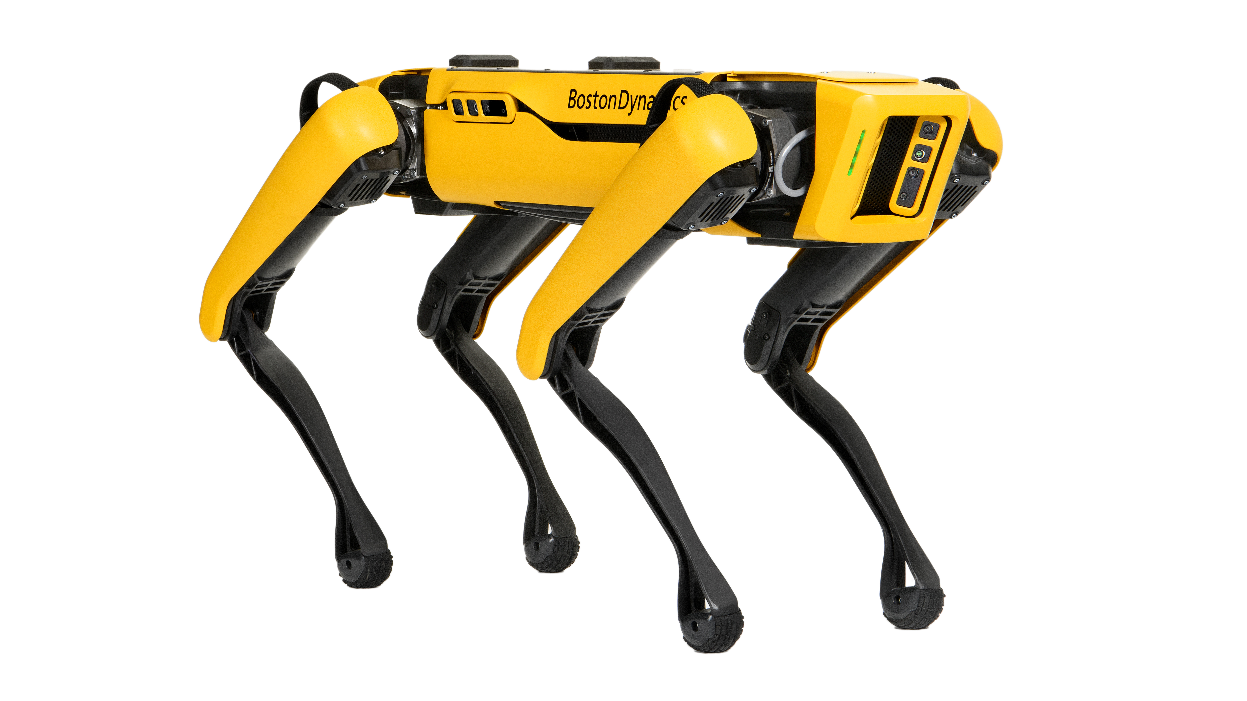 1654815137679 Spotexplorerweb2