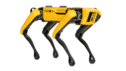 1654815137679 Spotexplorerweb2 1654815137679 Spotexplorerweb2