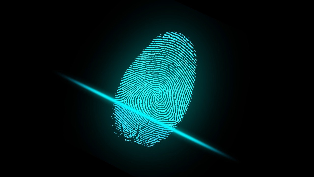 1654815381840 Fingerprint