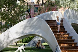 1654815448772 Striatus 1654815448772 Striatus