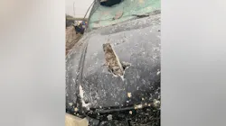 1654816729079 Us23crash 1654816729079 Us23crash