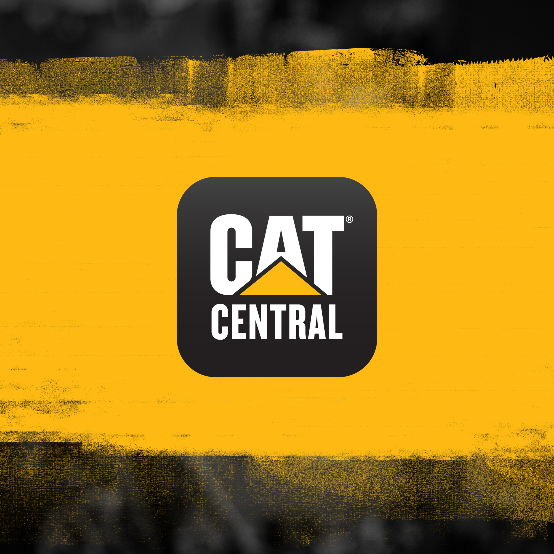 Cat Central Icon
