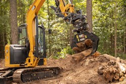 Cat Grapple 642d9dba10682 Cat Grapple 642d9dba10682