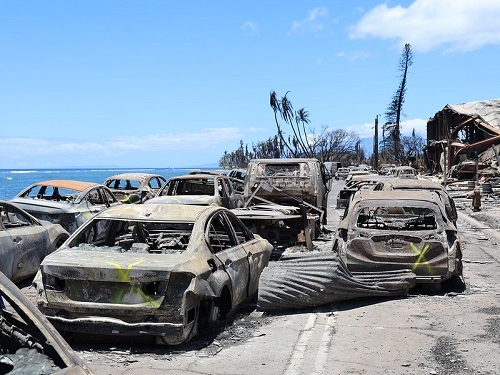 Cars destroyed in the Maui wildfires