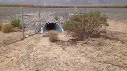 A tortoise crossing. A tortoise crossing.