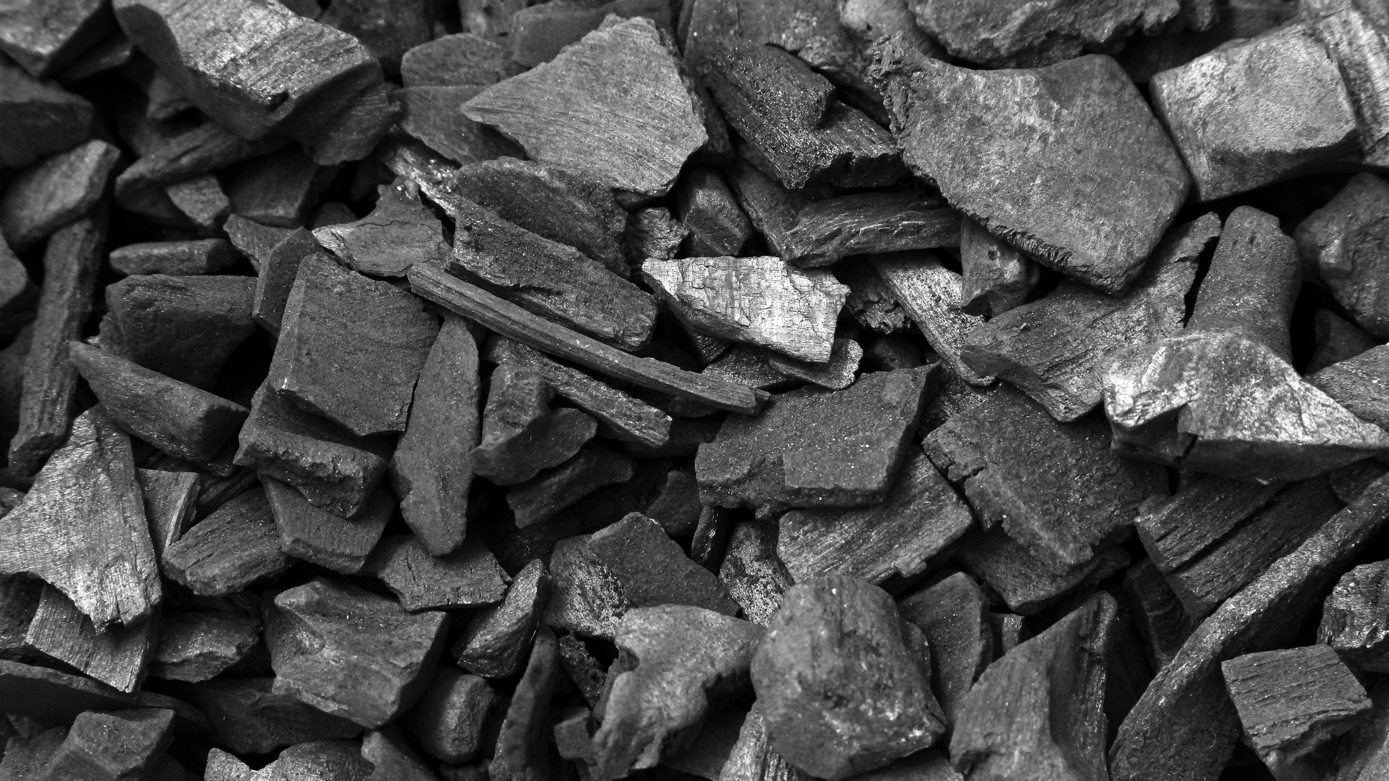 66ec46f16d113d8e382b48c3 Dreamstime L 62675252