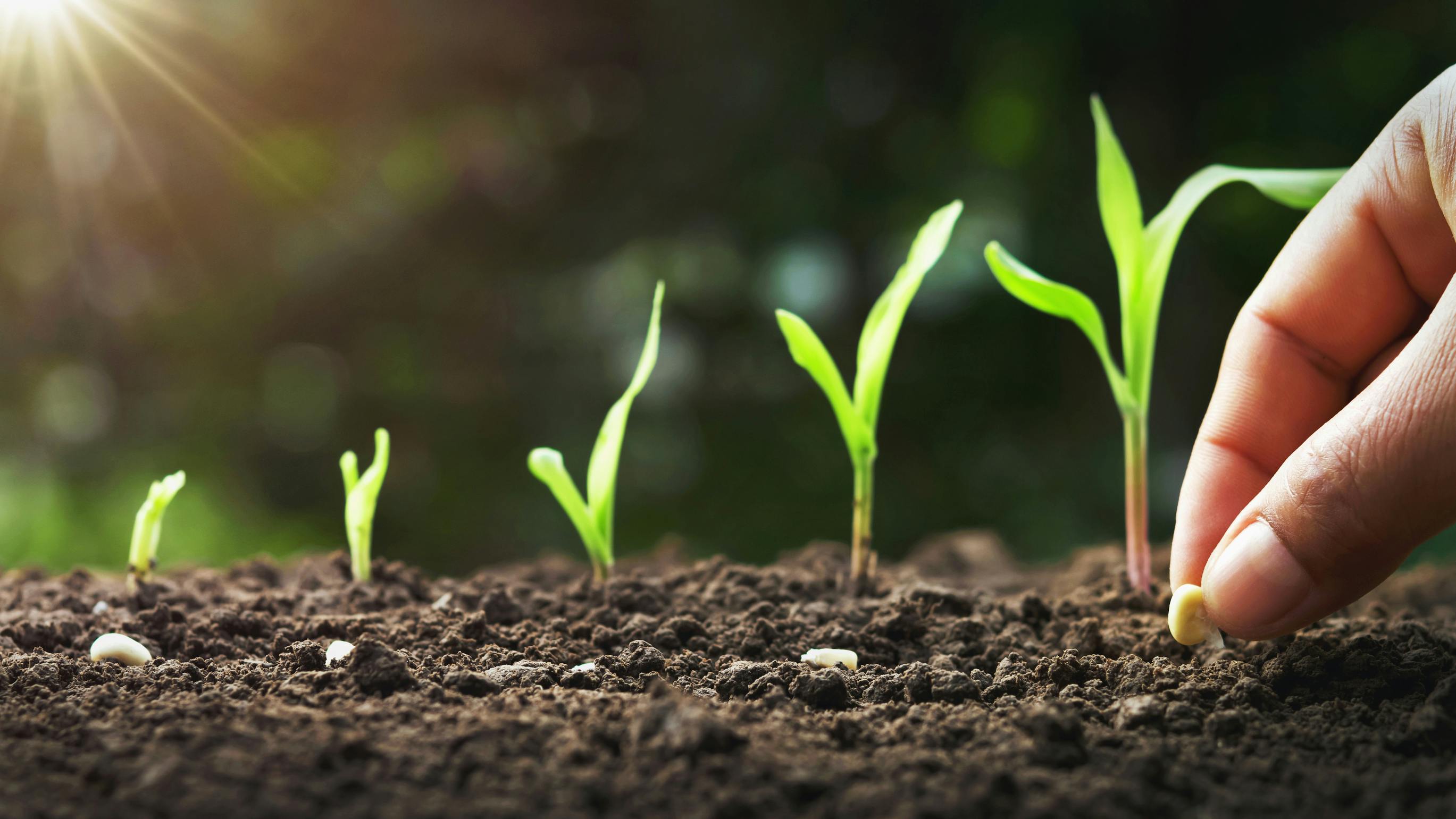 Equipment assets need to be replaced as they are used up, says Mike Vorster, otherwise fleets are 'living off their seed corn.'