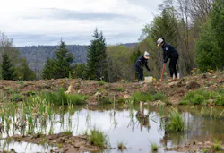 Komatsu machines helping rebuild a forest in Appalachia Komatsu machines helping rebuild a forest in Appalachia