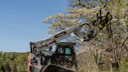 Bobcat brush clearing CTL