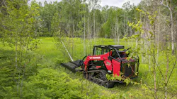 Yanmar forestry CTL cutting brush