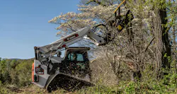 Bobcat compact track loader using a brush cutter mower on a tree.